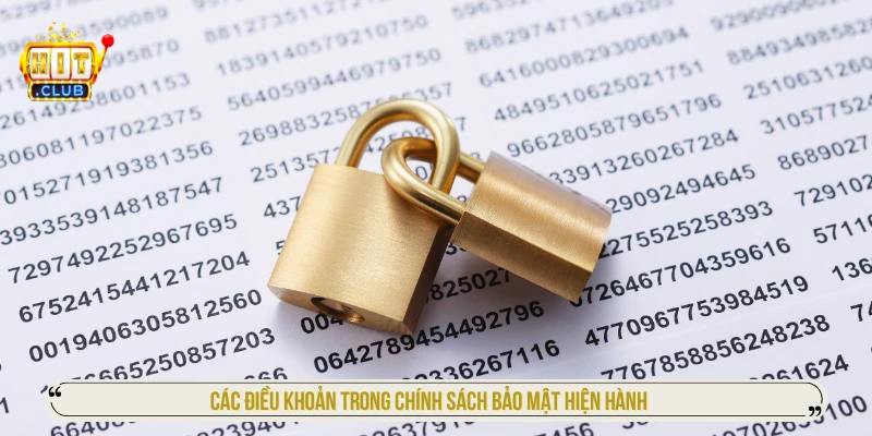 Các điều khoản trong chính sách bảo mật hiện hành